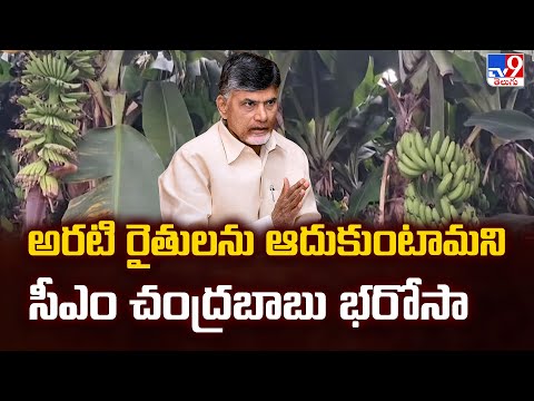 అరటి రైతులను ఆదుకుంటామని సీఎం చంద్రబాబు భరోసా  | CM Chandrababu - TV9 - TV9