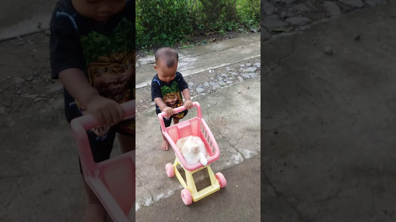 Aksi anak  kecil  lucu  YouTube