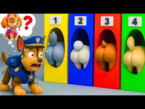 ¡La elección de CHASE! ¿¡Dónde está mi SKYE!? ¡Por favor, no me dejes solo! | PAw PaTRol en Español