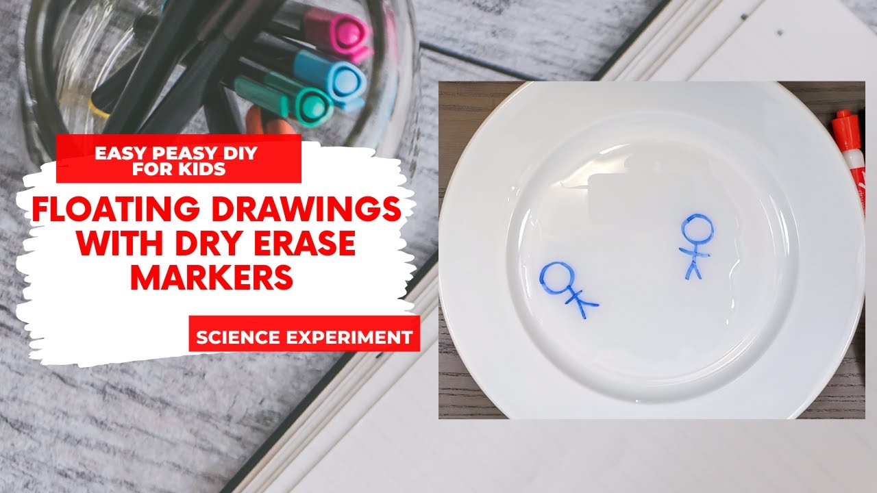 Floating Dry Erase Marker Experiment - The Best Ideas for Kids