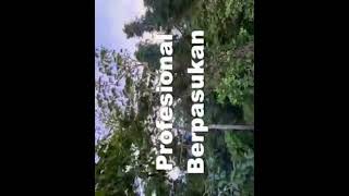 Ltat My 23Rd Anniversary On 1St Of August