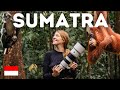 48h in the sumatran jungle bukit lawang  orangutan camping and rafting