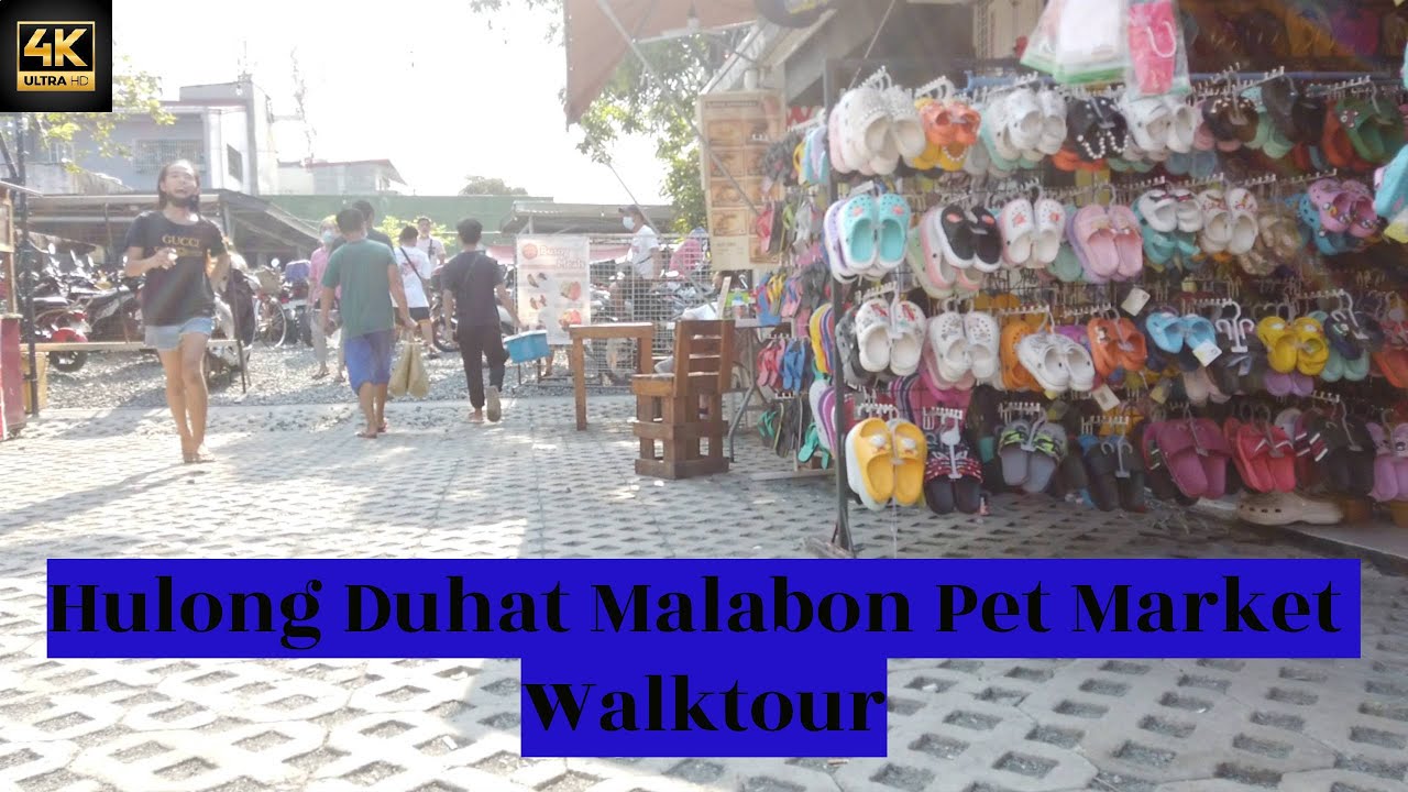 Hulong Duhat Malabon Pet Market Walk Tour | 4K HDR | Walk Around The Metro 2022