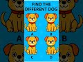 Can You Spot the Different Dog? 👀🐶 #shorts #findthedifference #puzzle #games #dop2