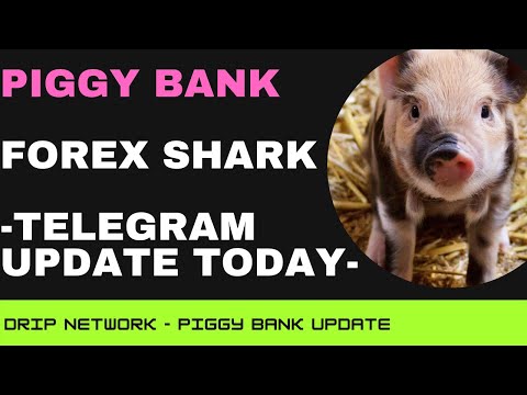 Piggy Bank Update – Forex Updating on Animal Farm