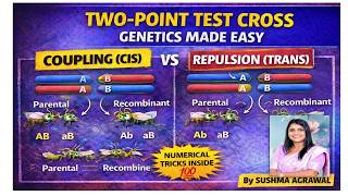 Linkage vs Recombination | Coupling &amp; repulsion |Two-Point Test Cross + PYQs | CSIR NET / NEET