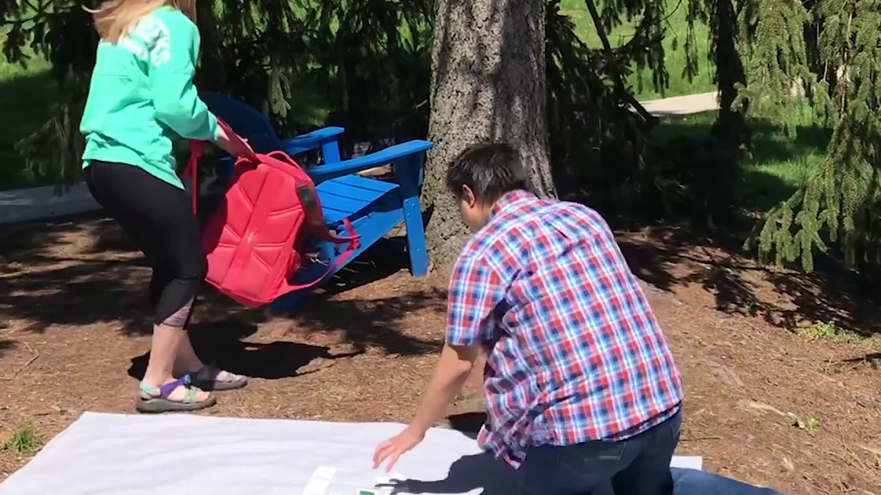 PSA: Urban Deforestation - Lexington, KY