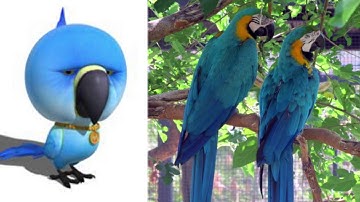 Larva Character in Real Life 2017