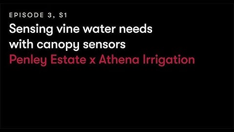 Episode 3 - Penley Estate x Athena Irrigation: Sensing vine water needs with canopy sensors