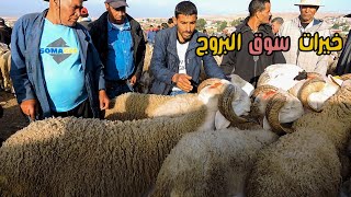 اليوم من قلب سوق حد لبروج اقليم سطات 29/05/2022 مع ثمن حولي عيد الأضحى