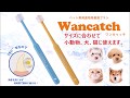 ワンキャッチ（Wancatch）歯ブラシ　犬 ドッグ 猫 フェレット ペット 歯磨き 動画