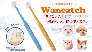 ワンキャッチ（Wancatch）歯ブラシ　犬 ドッグ 猫 フェレット ペット 歯磨き 動画