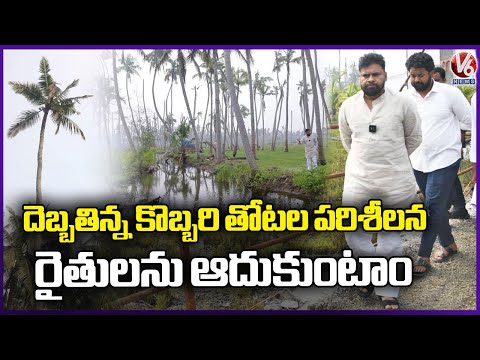 Dy CM Pawan Kalyan Inspected Damaged Coconut Farm In Shankaram Guptam | Ambedkar Konaseema | V6 News - V6NEWSTELUGU