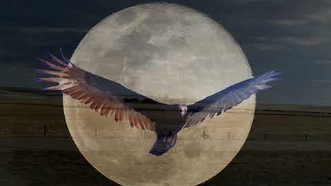 Thumbnail of Shots   Tom Jones & Rhiannon Giddens   St  James Infirmary Blues