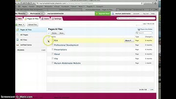How to rename a page in a wiki