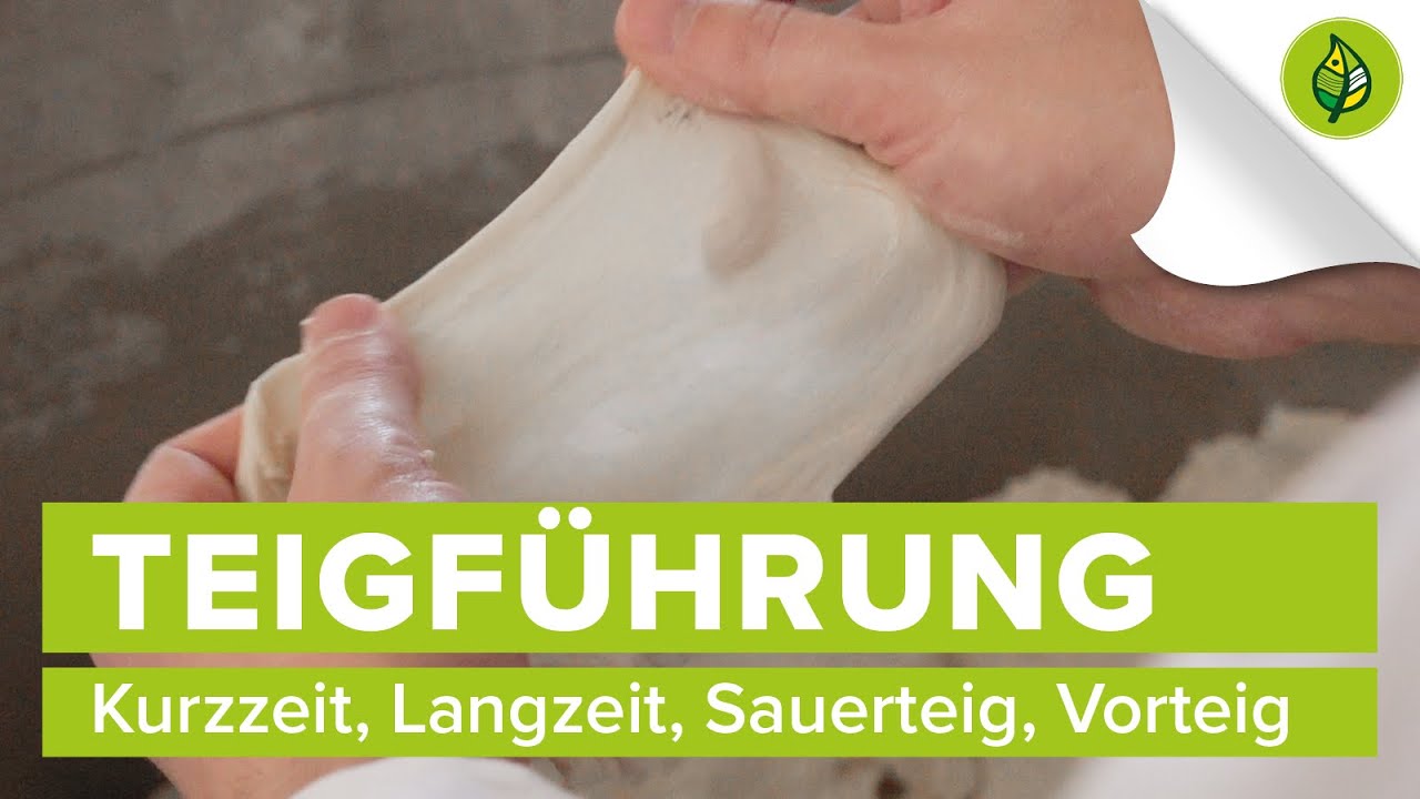 Update Teigführung - Kurzzeit, Langzeit, Sauerteig, Vorteig