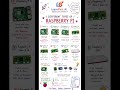 The different types of Raspberry Pi💡#RaspberryPi #IoT#EmbeddedSystems#LearnMoraAi #TechInnovation