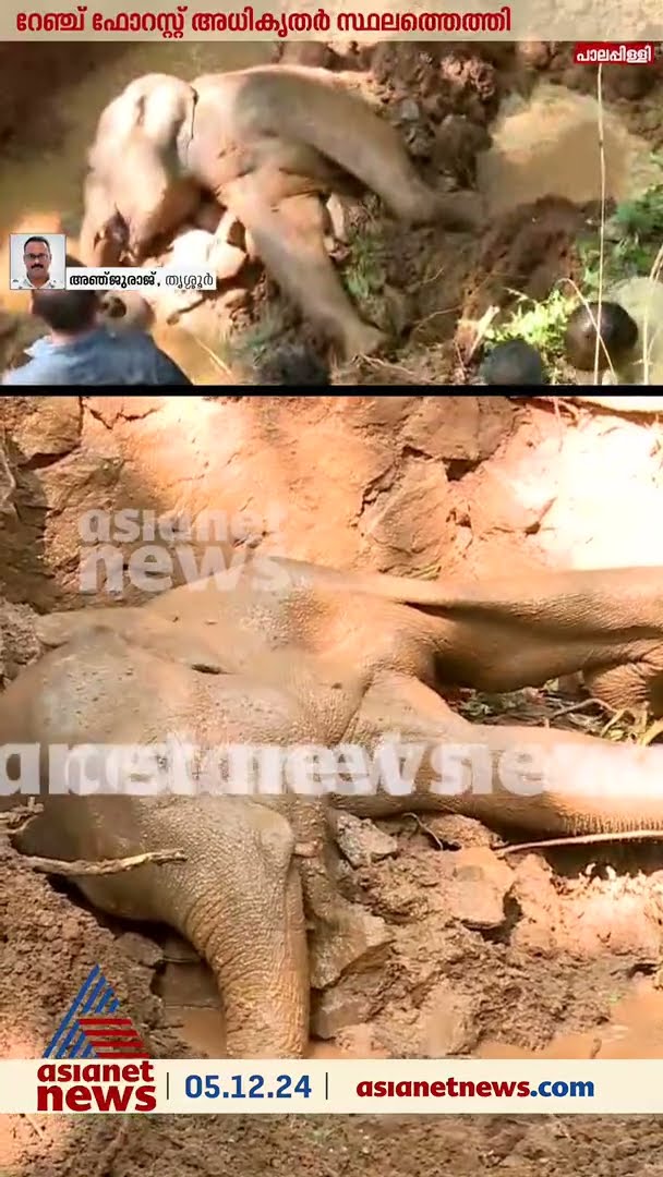 അനങ്ങാനാവാതെ അവശനിലയിൽ ആന; സെപ്റ്റിക്ക് ടാങ്കിനുള്ളിൽ നിന്ന് പുറത്തെടുക്കാൻ ശ്രമം