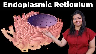 Endoplasmic Reticulum