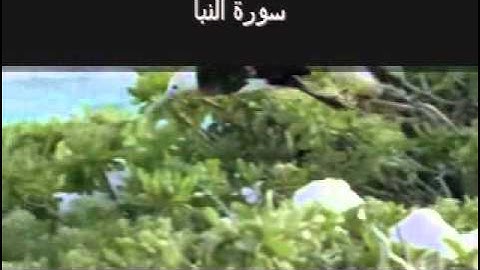 Surat An Naba (The Announcement) سورة النبأ‎