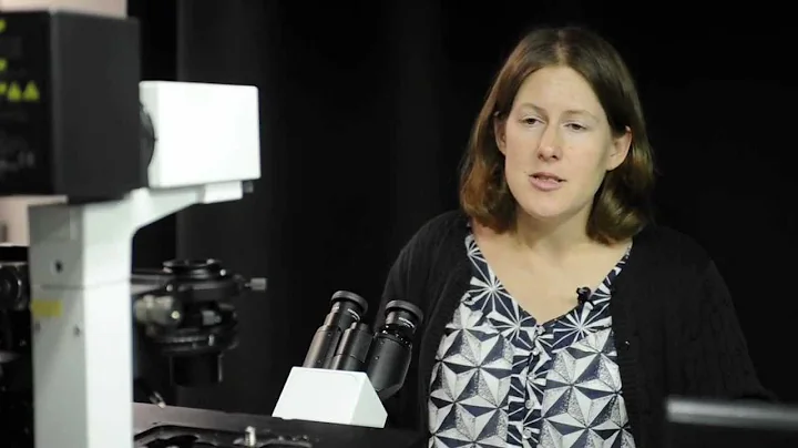 Christine Payne Receives DARPA Young Faculty Award