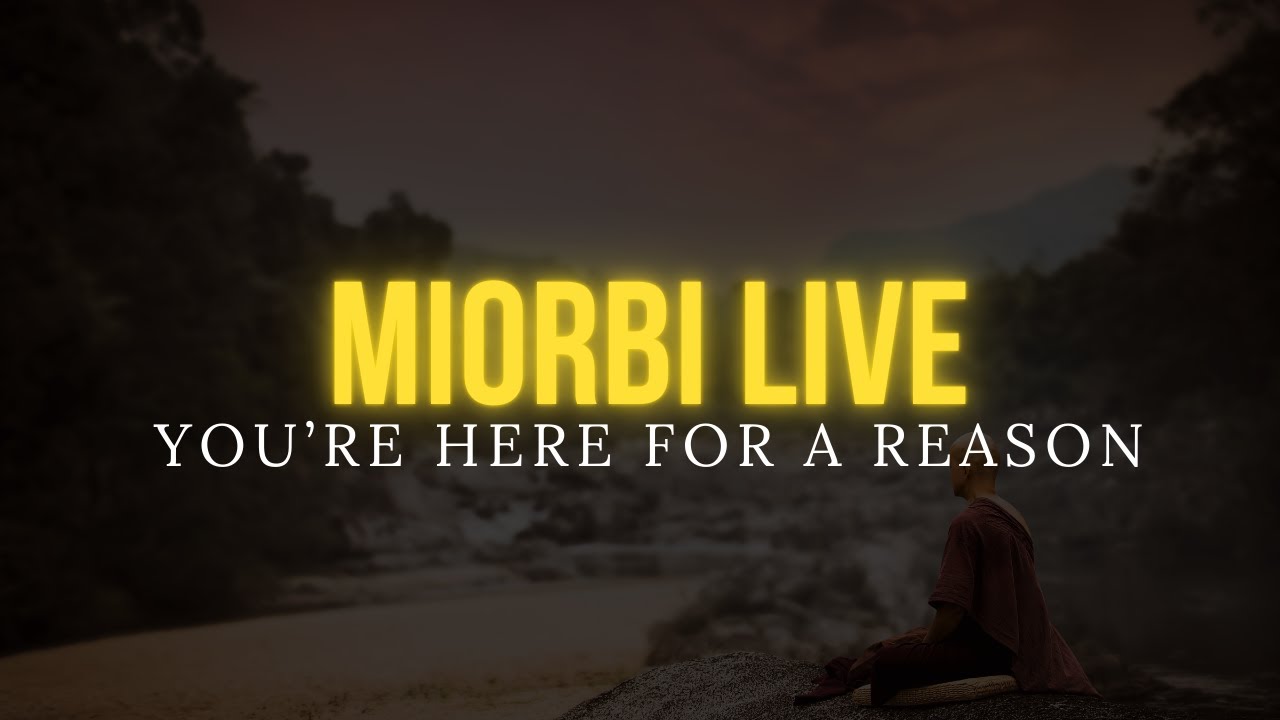 A Moment That Stopped Time — Live for the Collective