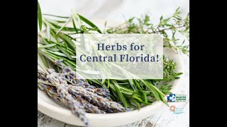 Herbs for Central Florida