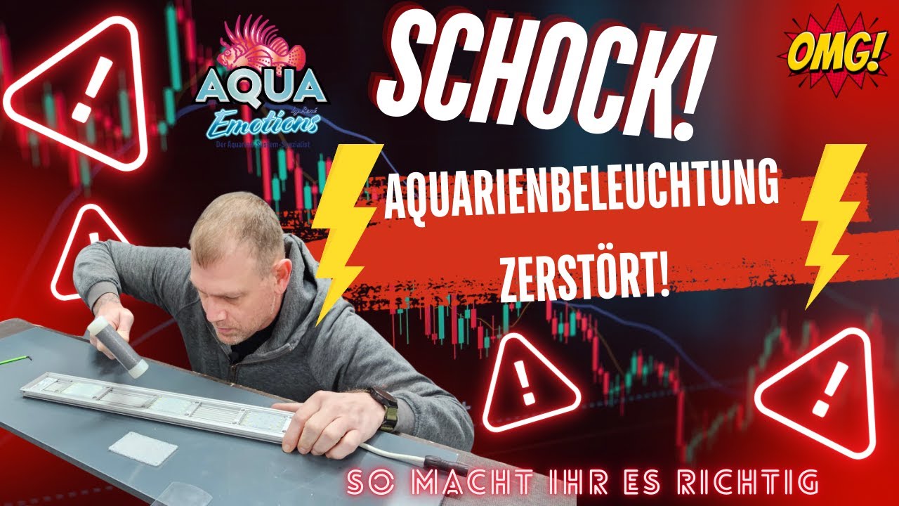Schock!!! Daytime Aquarienbeleuchtung zerstört!!!