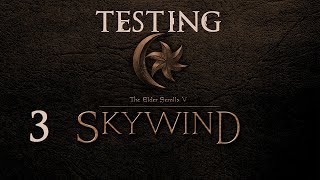 Testing Skywind Part 3