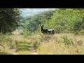 African Trophy Pursuit 2026 Season