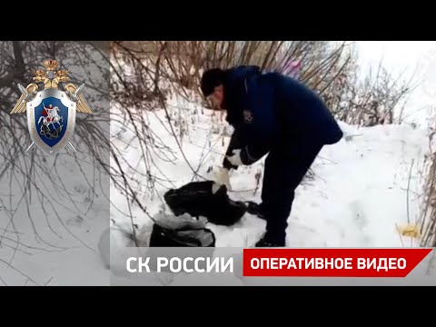 В Самарской области возбуждено уголовное дело по факту убийства ребёнка