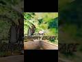 granny game ki viral video ☠️#grannyviral#tranding