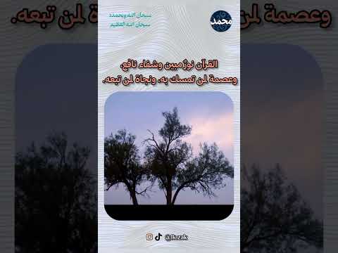 القران نور مبين 