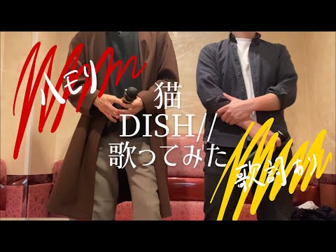 【ハモり】猫　DISH// 歌ってみた