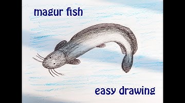 draw a magur fish | মাগুর মাছ original audio tutorials #satisfying #creativeart #drawingforbeginners