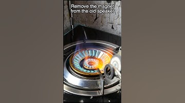 Remove the magnet from the old speaker.
