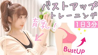 座ったまま！育乳バストアップ筋トレ｜ダイエットしながらバストケアも忘れずに美乳を目指す！