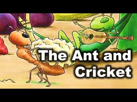 English Moral Stories  ||  Short Stories  ||  The Ant and Cricket