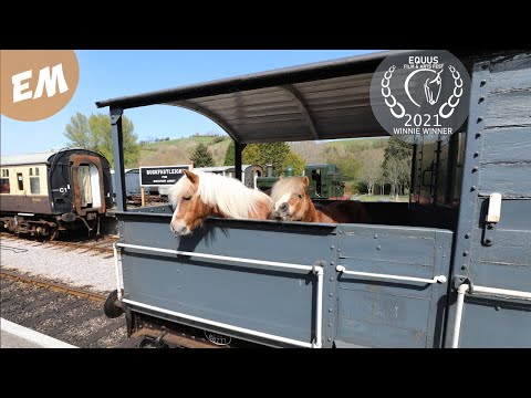 Video: Pony's Train Travel Bid Stoppet I Sporene