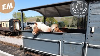 All Aboard The Pony Express Train