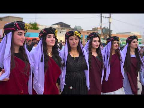        هيفاره طوافا شاسوار ل گوندي بيباني    