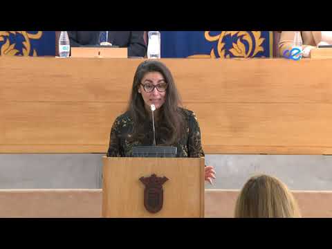 La mayoría de la Asamblea aboga por la igualdad como forma de erradicar la violencia de género