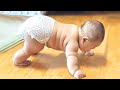 Funniest and Cutest Chubby Babies ever! - Chubby Baby Videos