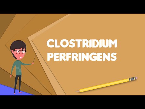 Video: Bieži Sastopama Toksigēno Clostridium Difficile Un Clostridium Perfringens Koinfekcija Caurejas Pacientiem Veselības Aprūpes Iestādēs (HCFO) Un Sabiedrības Sākuma (CO) Centros Bogo