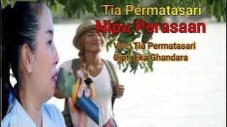 LAGU TARLING TERBARU 2022 // Tia Permatasari - Nipu Perasaan