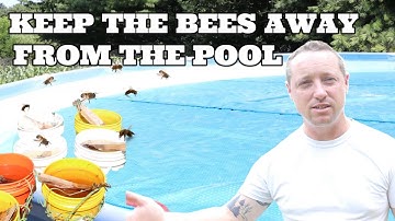 HOW TO KEEP BEES AWAY FROM THE POOL/GETTING RID OF ANTS IN THE HIVE
