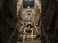 "THE SUDDEN DISAPPEARANCE OF THE INDUS VALLEY CIVILIZATION" #facts #trending #shorts #viral #fyp