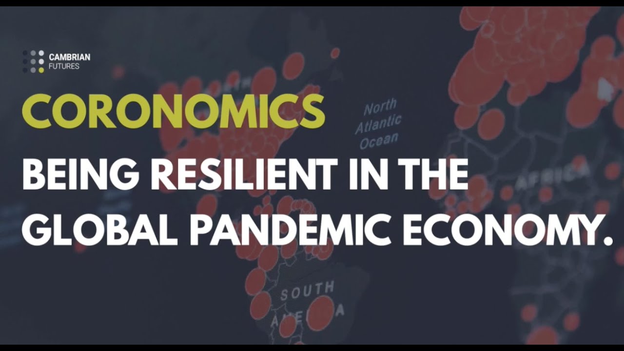 Coronomics: Being resilient in the global pandemic economy