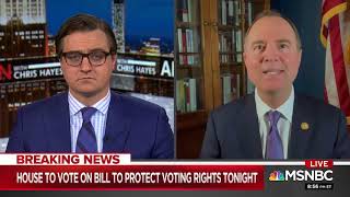 Rep. Adam Schiff on MSNBC: Voting is the Right on Which Everything Else Hinges