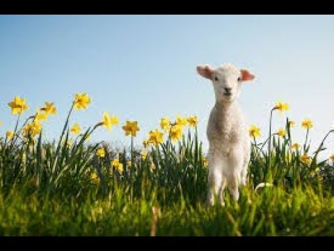 Spring Equinox 2018